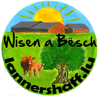 Lannershaff - Startseite